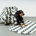 Bild in Galerie-Betrachter laden, Platzdecke Green Waves