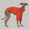Bild in Galerie-Betrachter laden, Kuscheliger Hundepullover in Terracotta aus Fleece – warm, pflegeleicht und handgenäht