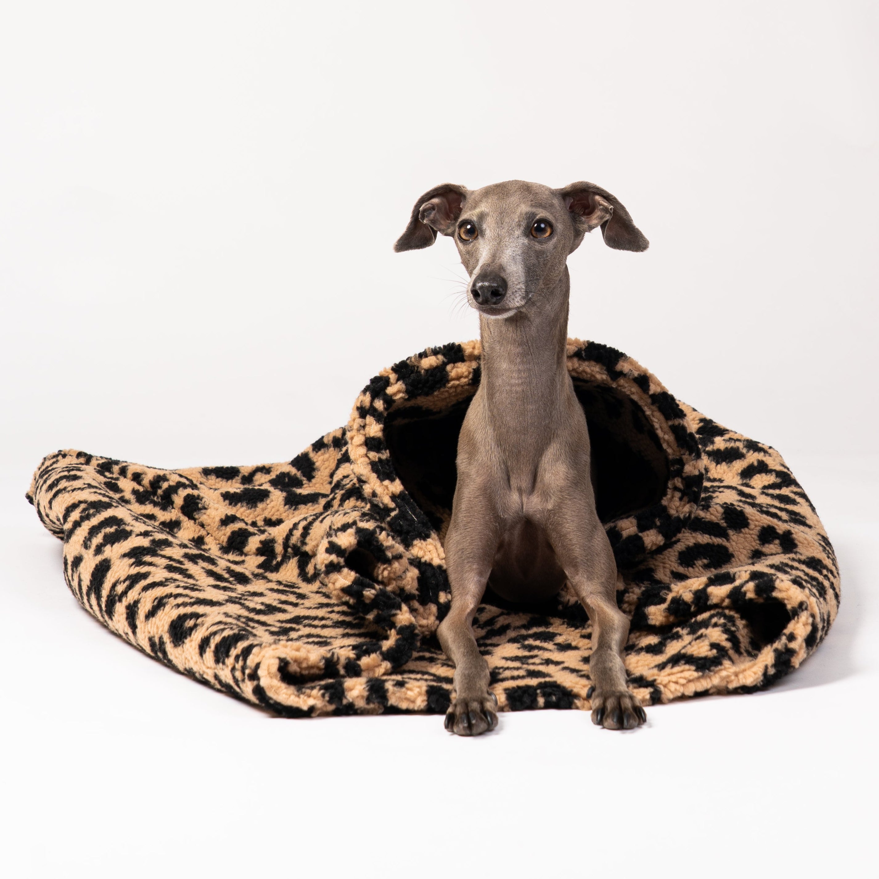 schlafsack für hunde höhle der löwen Karma Hund Teddy Hundeschlafsack in Leo – Kuscheliger Schlafplatz für kleine & mittelgroße Hunde