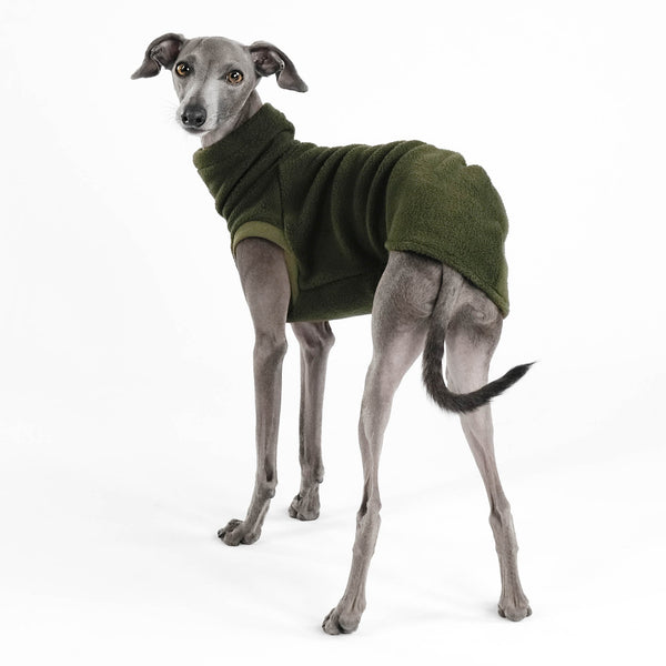 Iggy Shirt Fleece Olive