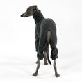 Bild in Galerie-Betrachter laden, Italian Greyhound Fleece Jumpsuit Graphite