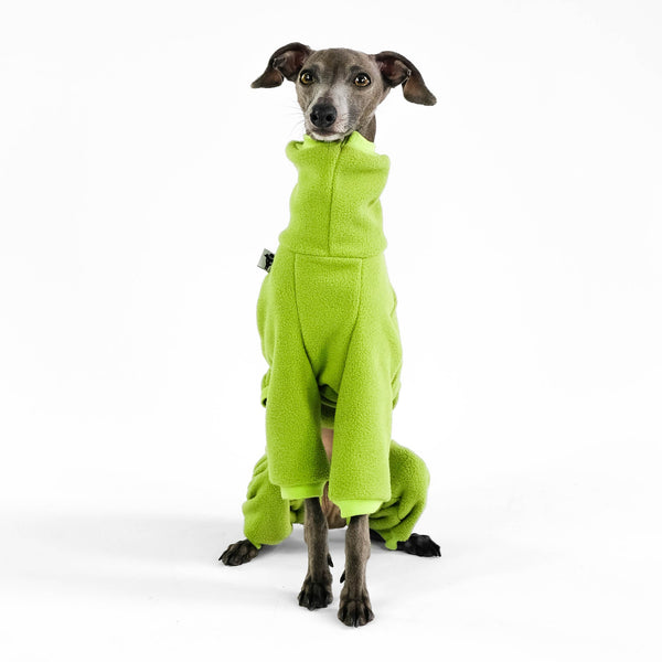 Italian Greyhound Fleece Jumpsuit Light Green