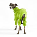 Bild in Galerie-Betrachter laden, Windspiel Fleece Overall Light Green