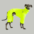 Bild in Galerie-Betrachter laden, Windspiel Overall Neon Yellow