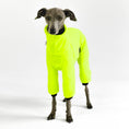 Bild in Galerie-Betrachter laden, Windspiel Overall Neon Yellow
