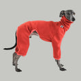 Bild in Galerie-Betrachter laden, Windspiel Fleece Overall Terracotta