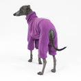 Bild in Galerie-Betrachter laden, Italian Greyhound Clothing