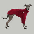 Bild in Galerie-Betrachter laden, Italian Greyhound Pullover Fleece