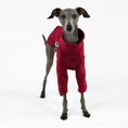 Bild in Galerie-Betrachter laden, Windspiel Fleece Pullover Bordeaux