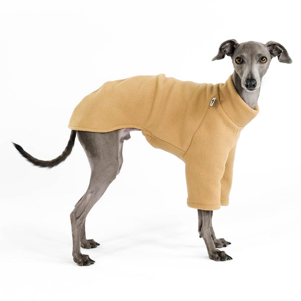 PULLOVER für Italienisches Windspiel in Camel