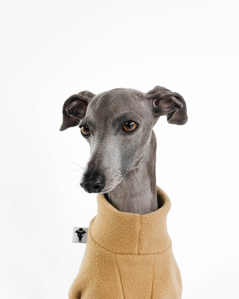 PULLOVER für Italienisches Windspiel in Camel