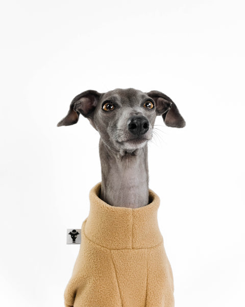 PULLOVER für Italienisches Windspiel in Camel