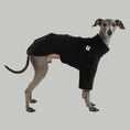 Bild in Galerie-Betrachter laden, Italian Greyhound Pullover