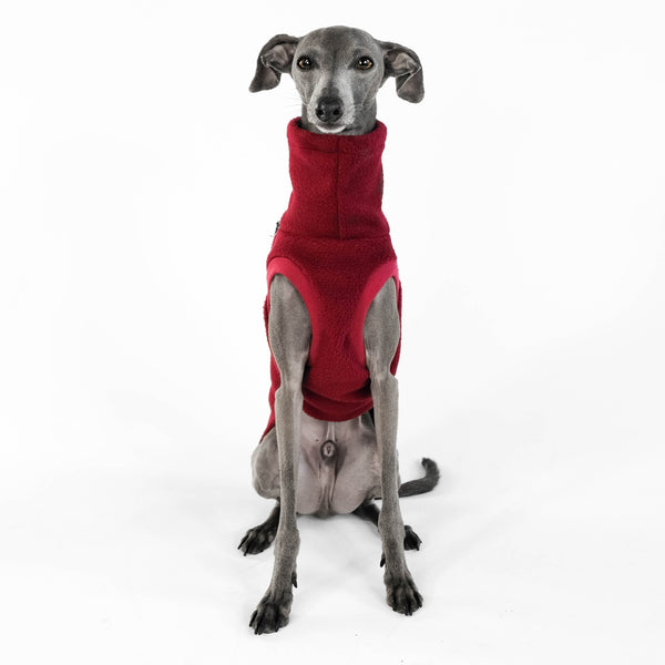 Windspiel Shirt Fleece Bordeaux