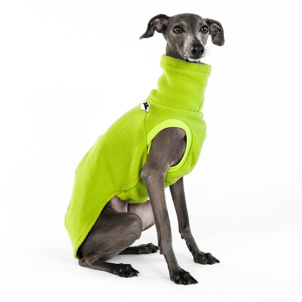 Windspiel Shirt Fleece Light Green