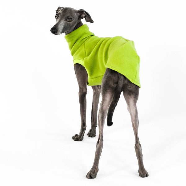 IG Longshirt Light Green