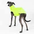 Bild in Galerie-Betrachter laden, Windspiel Longshirt Neon Yellow