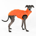 Bild in Galerie-Betrachter laden, Italian Greyhound Fleece Long Shirt Orange