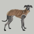 Bild in Galerie-Betrachter laden, Fleece Shirt Iggy OUTLET Taupe
