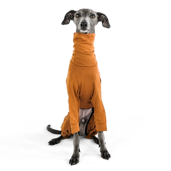 Windspiel Second Skin Overall Brown