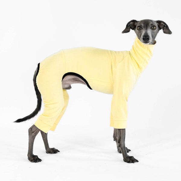 Italienisches Windspiel Second Skin Light Yellow