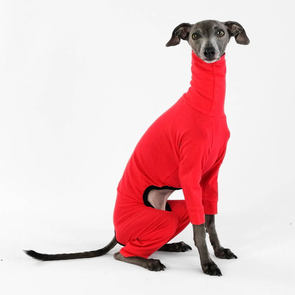 Italienisches Windspiel Second Skin Overall Red
