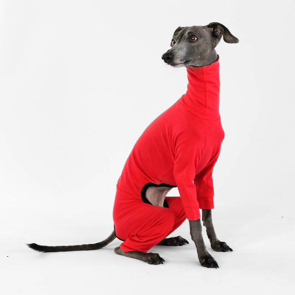 Windspiel Second Skin Overall red