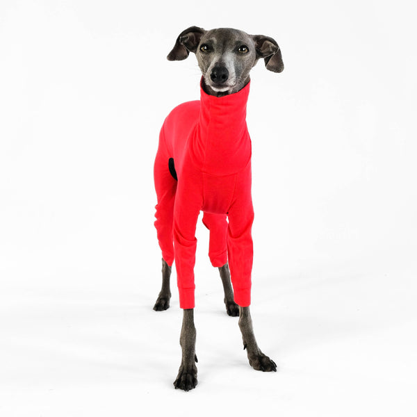 Italian Greyhound Cotton Jumpsuit Red