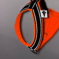 Bild in Galerie-Betrachter laden, Italienisches Windspiel Brustgeschirr Neon Orange