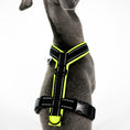 Bild in Galerie-Betrachter laden, IG Softshell Harness Neon Yellow