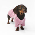 Bild in Galerie-Betrachter laden, Dackel Fleece Pullover Mukberry