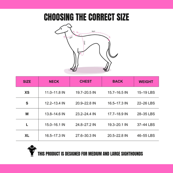 LONG SHIRT 2.0 für Whippet, Windsprite, Podenco, Galgo in Neon Yellow