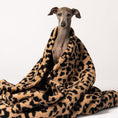 Bild in Galerie-Betrachter laden, Karma Hund Schlafsack für kleine und mittelgroße Hunde zum Einkuscheln