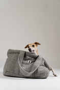 Bild in Galerie-Betrachter laden, Karma Hund Teddy Shopper in Grau – flauschige Tragetasche und Rückzugsort für kleine Hunde, elegant und praktisch.