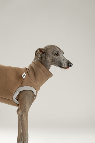 Italienisches Windspiel entspannt im Long Shirt aus Mokka-Baumwollfleece – kuschelig, leicht und funktional.