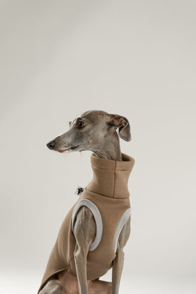 Long Shirt in Mokka für Windspiele, mit weichen Armausschnitten und Schnittführung für tiefen Brustkorb und schmale Taille.