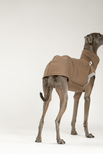 Baumwollfleece-Long Shirt in Mokka als Midlayer für italienische Windspiele – warm, anschmiegsam und passgenau.