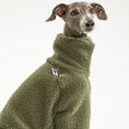 Bild in Galerie-Betrachter laden, Italienisches Windspiel trägt Overall in Dark Olive aus weichem Teddy-Material