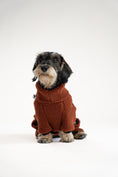 Bild in Galerie-Betrachter laden, Klassischer brauner Teddy-Overall für Dackel – langlebig & pflegeleicht