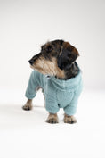 Bild in Galerie-Betrachter laden, Dackel im mintgrünen Teddy Overall auf Spaziergang