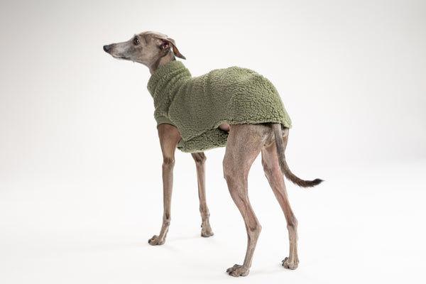 Detailaufnahme Hundepullover Dark Olive, weiches Teddy-Material für kleine Windhunde