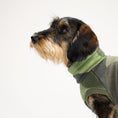 Bild in Galerie-Betrachter laden, Fleece Shirt Dackel Camouflage – Close-up am Hund – hochwertige Hundekleidung von Karma Hund
