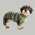 Bild in Galerie-Betrachter laden, Fleece Shirt Dackel Camouflage – hochwertige Hundekleidung für Dackel, Windspiele und Windhunde von Karma Hund Berlin – Hund frontal