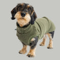 Bild in Galerie-Betrachter laden, Teddy Shirt Dackel Dark Olive – hochwertige Hundekleidung für Dackel, Windspiele und Windhunde von Karma Hund Berlin – Hund frontal