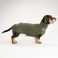 Bild in Galerie-Betrachter laden, Teddy Shirt Dackel Dark Olive – Hundepullover und Hundekleidung für Dackel und Windhunde – Seitenansicht am Hund