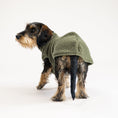 Bild in Galerie-Betrachter laden, Teddy Shirt Dackel Dark Olive – Hundekleidung für Dackel, Windspiele und Whippets – Rückenansicht