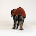 Bild in Galerie-Betrachter laden, Teddy Shirt Dackel Brown – Hundekleidung für Dackel und Whippets – Rückenansicht