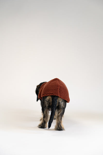Hundebekleidung handgemacht in Berlin – Teddy Long Shirt in Braun