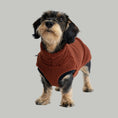 Bild in Galerie-Betrachter laden, Teddy Shirt Dackel Brown – ergonomischer Schnitt für Dackel und Windhunde – handgefertigte Hundekleidung