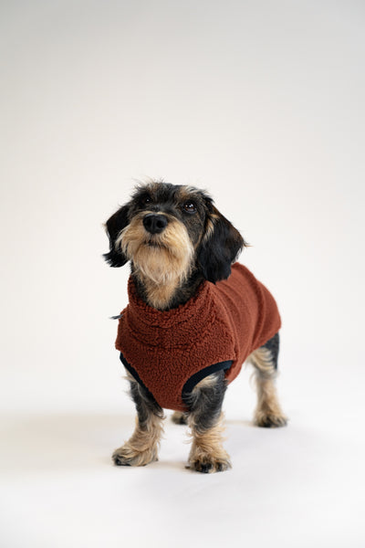 Dackel schaut aus dem Fenster im kuscheligen Long Shirt aus Teddyfleece, Braun